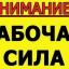 Быт Спил деревьев, землекопы, дачные работы +375 29 942 47 07