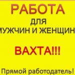 Другие услуги Вахта в Минске для муж и женщ: грузчик-продавец-кассир и др