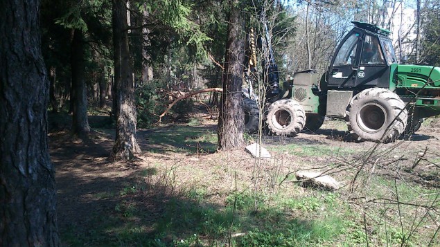 Сегодня 27.04.2016 началась вырубка леса в Боровлянах.