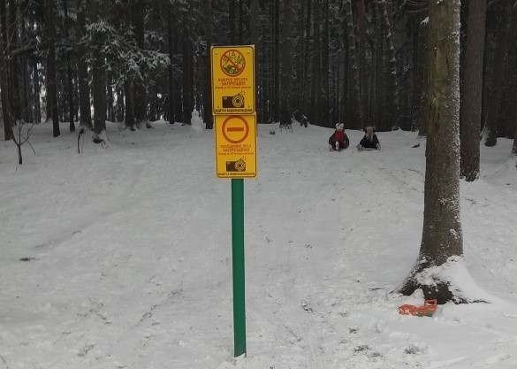 В Лесковке 8-летняя девочка при катании на тюбинге ударилась головой о дерево.