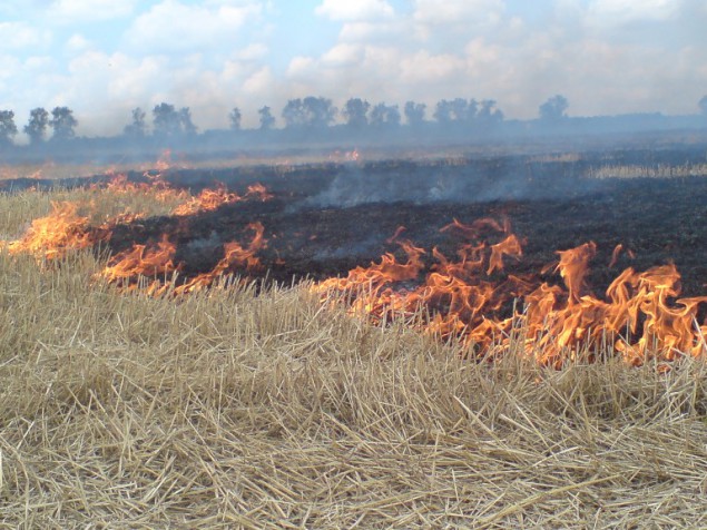 Боровлянский сельисполком извещает: проводится акция по предупреждению пожаров.