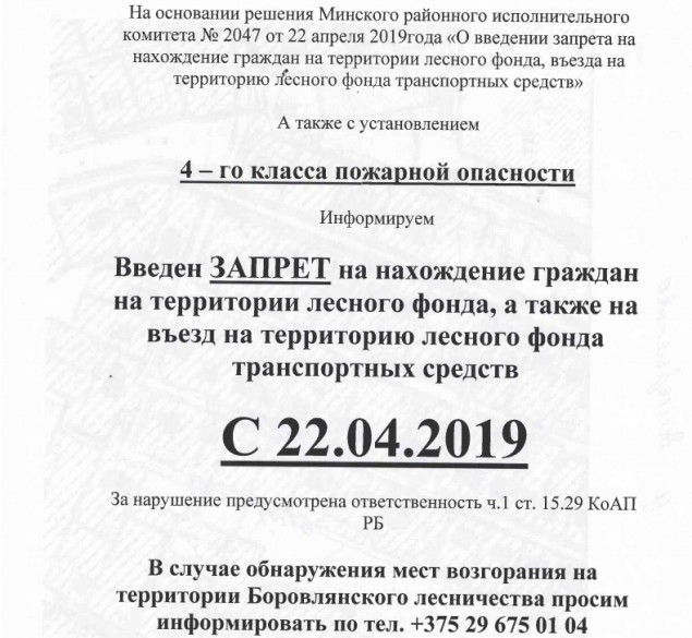С 22.04.2019 года введен запрет на нахождение граждан в лесах Минского района