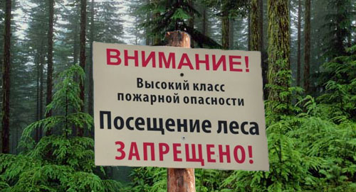 Введен запрет на посещение лесов в Минском районе