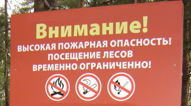 В Минском районе снова введен запрет на посещение лесов