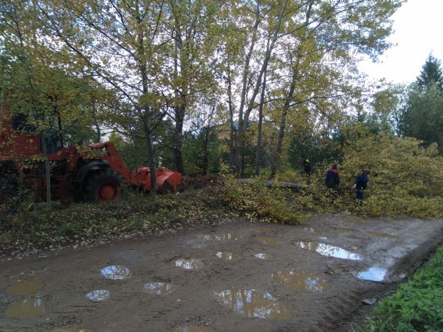 Оперативные новости: Всколыхнула жителей поселка Опытный очередная попытка вырубки деревьев.