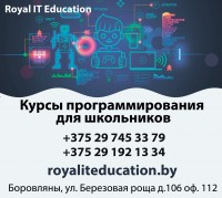 Курсы программирования для школьников в Боровлянах